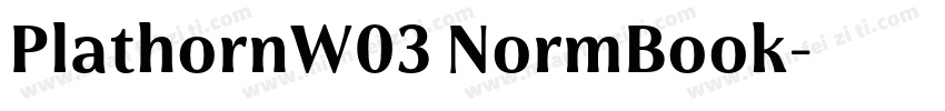 PlathornW03 NormBook字体转换